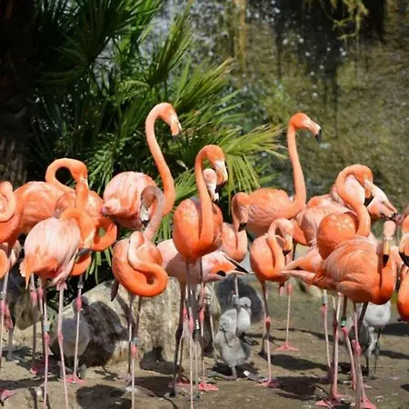 Bonne Anse La Palmyre